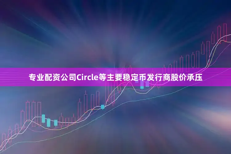 专业配资公司Circle等主要稳定币发行商股价承压