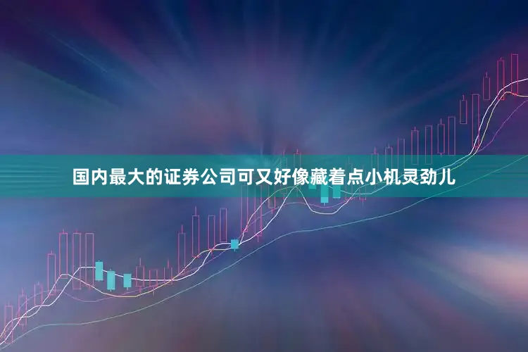 国内最大的证券公司可又好像藏着点小机灵劲儿