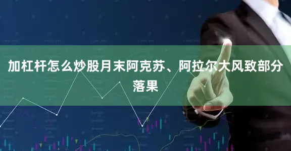 加杠杆怎么炒股月末阿克苏、阿拉尔大风致部分落果